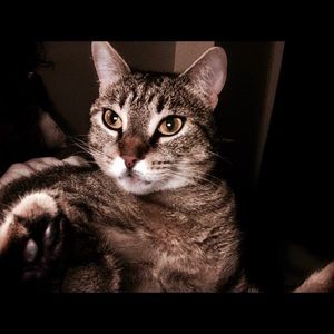 Meet your Posher, Genevieve