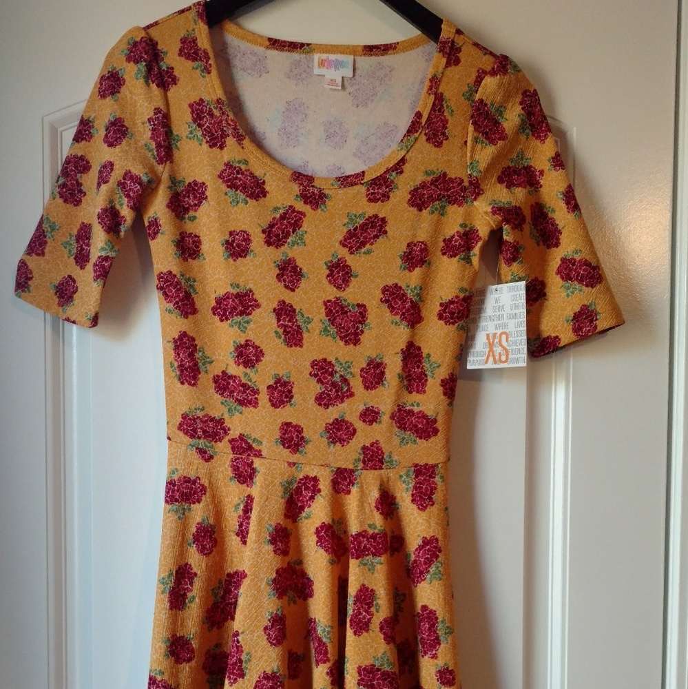 Nwt xs nicole dress
