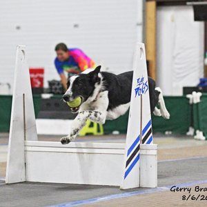 Meet your Posher, Allison