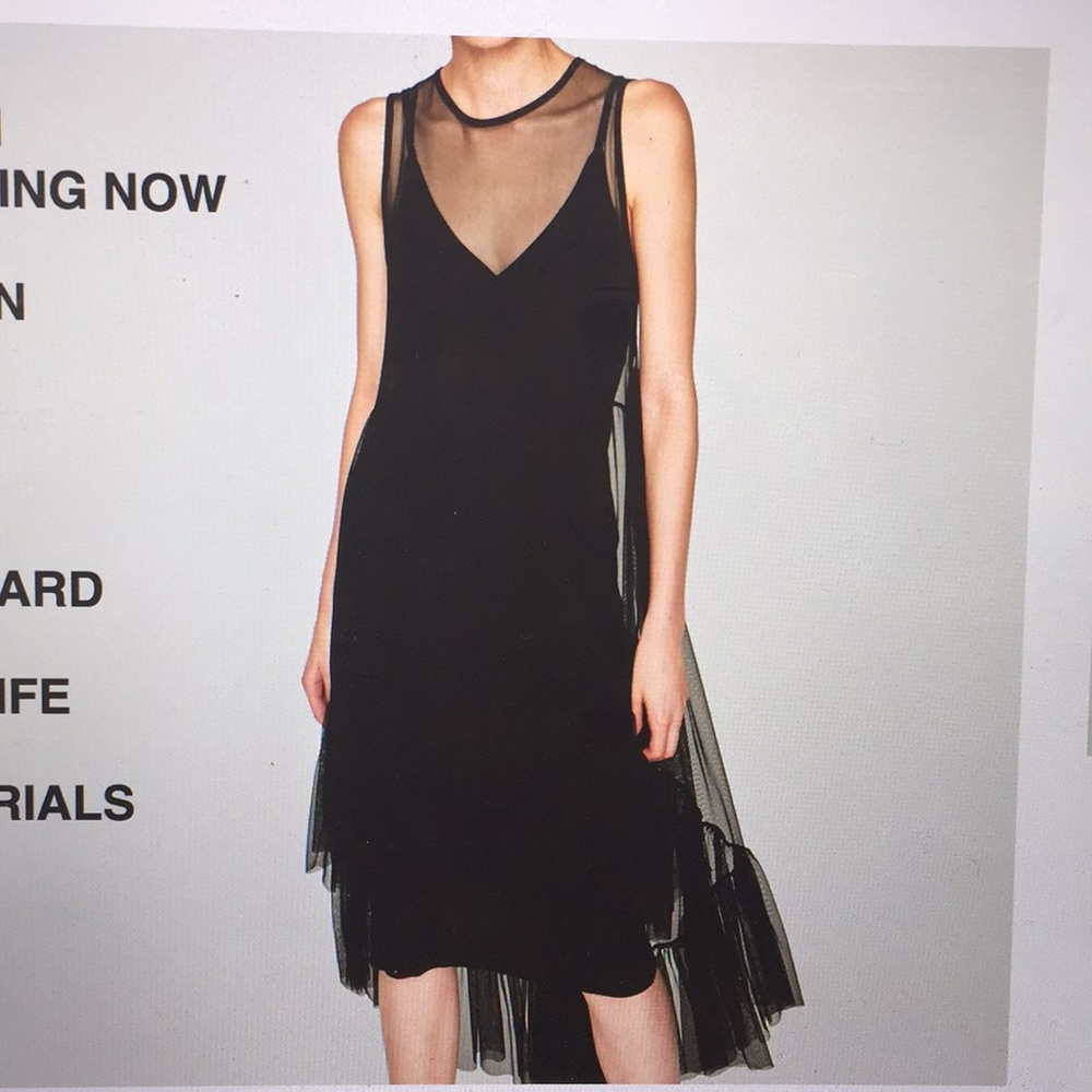 💫Black Zara Dress with Tulle Frills