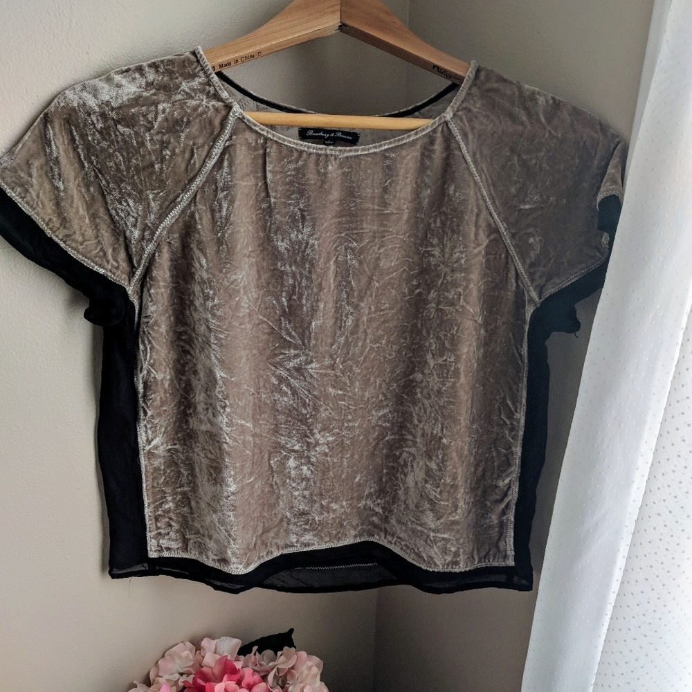 Madewell Broadway & Broome Velvet / Chiffon Top