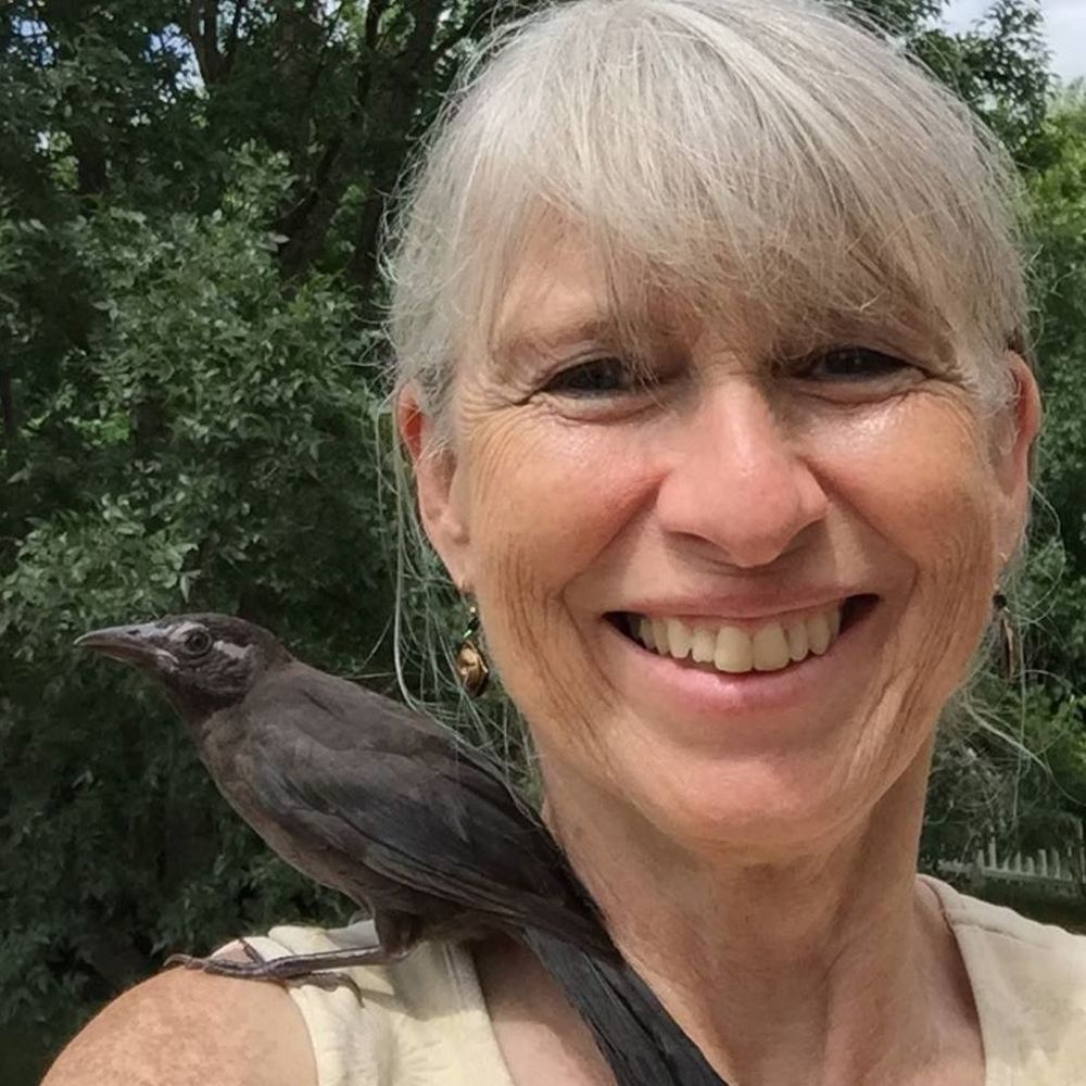 Meet your Posher, Meg