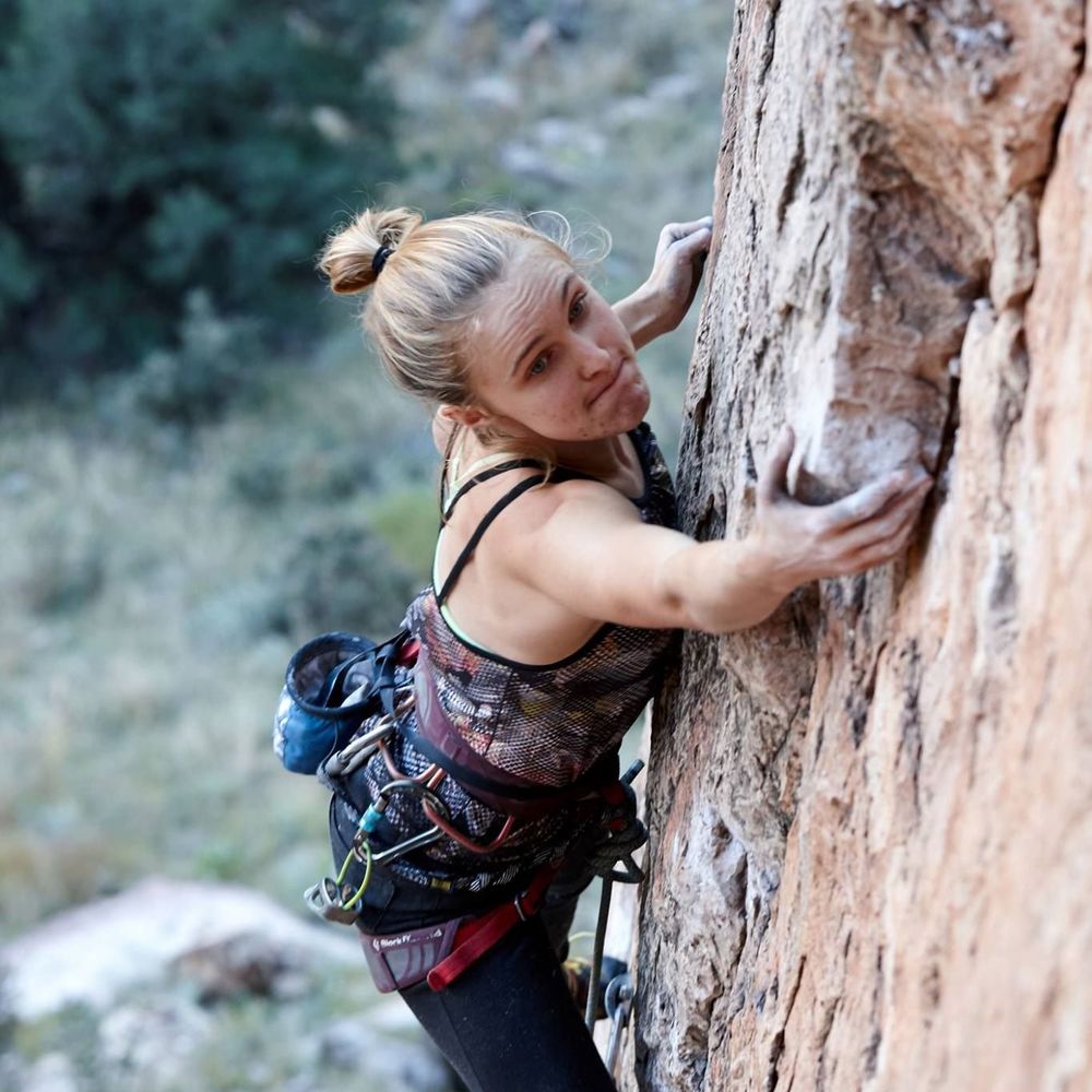 Meet your Posher, Molly