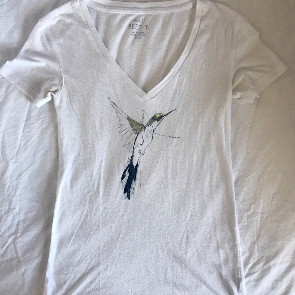AERIE Poet-T Hummingbird