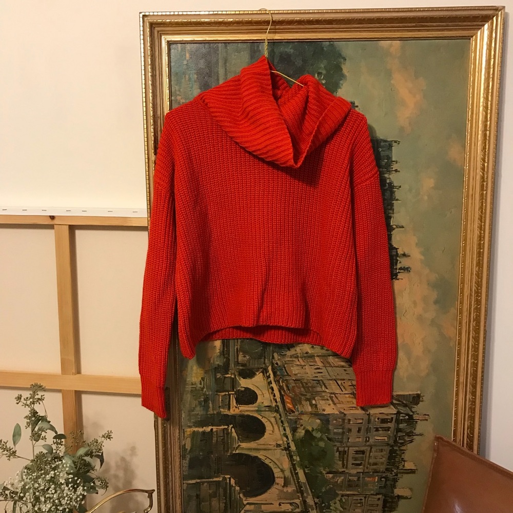 Red turtleneck cropped sweater