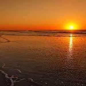 Meet your Posher, Inbal