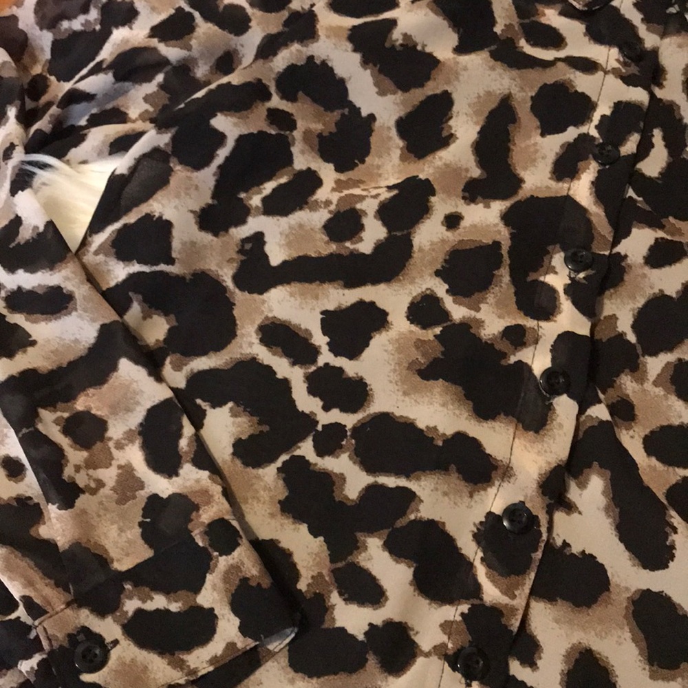 Edge leopard print sheer back blouse - Picture 6 of 8