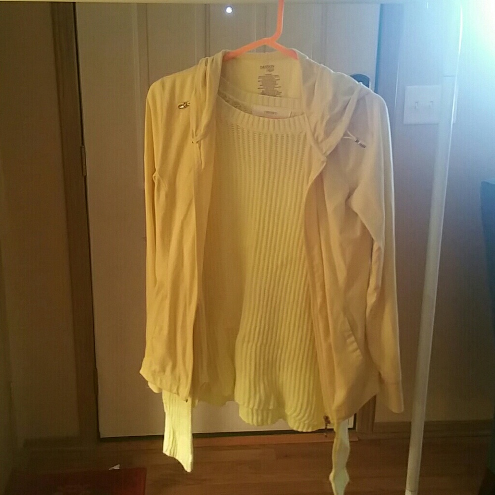 Sweater and lightweight hoodie zip up.