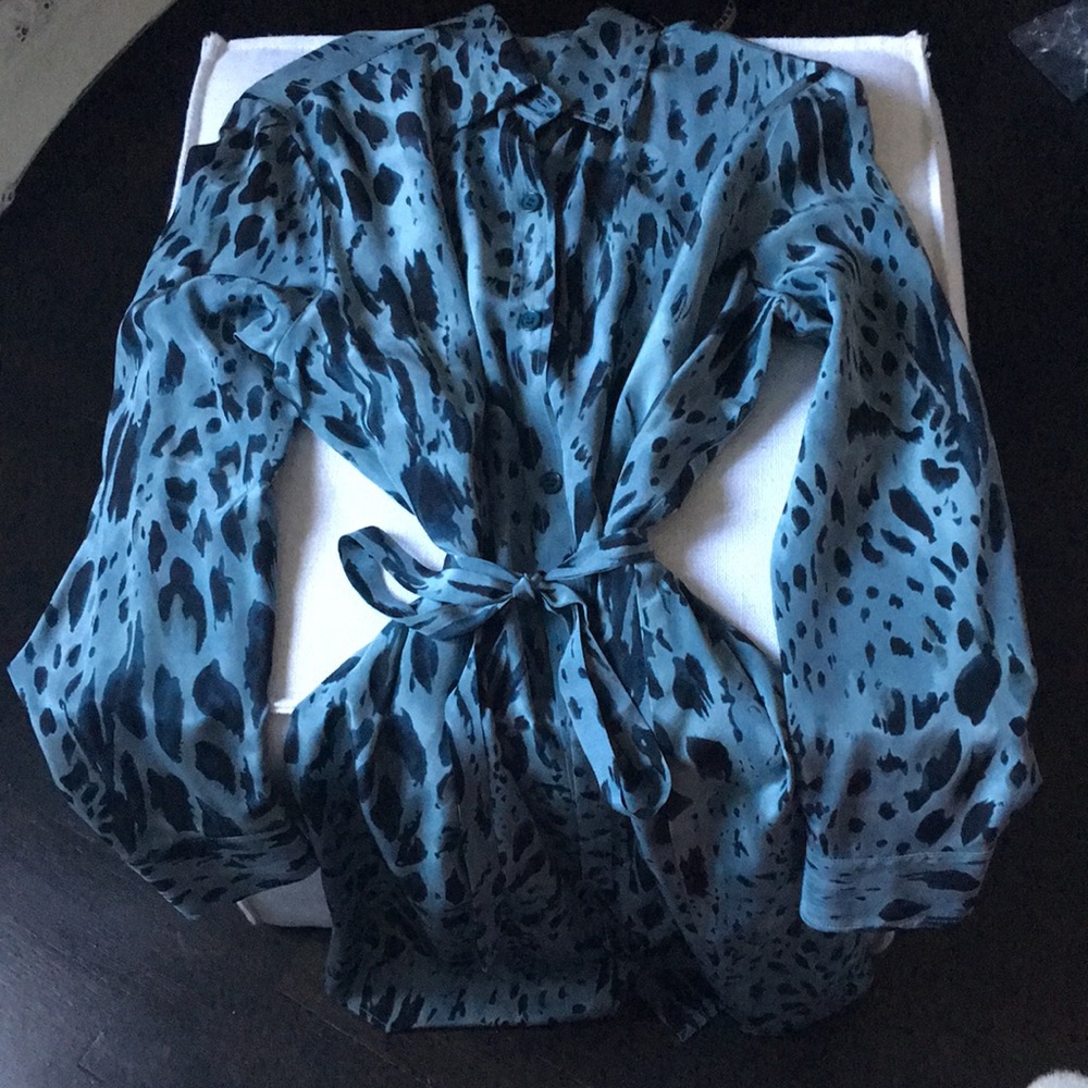 Tucker silk blue/green button down dress