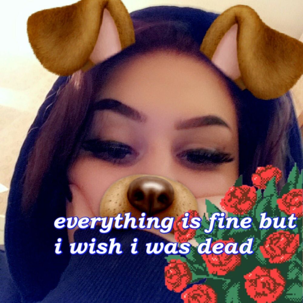 Meet your Posher, Leda