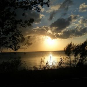 Meet your Posher, Lillian