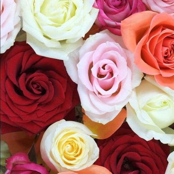 Meet your Posher, Ericka - Picture 1 of 1