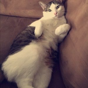 Meet your Posher, Anthany