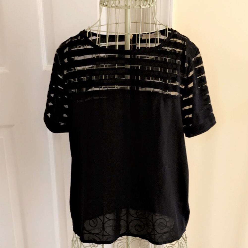 🌸 Sheer Top Black Blouse