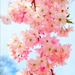 Meet your Posher, Lucia