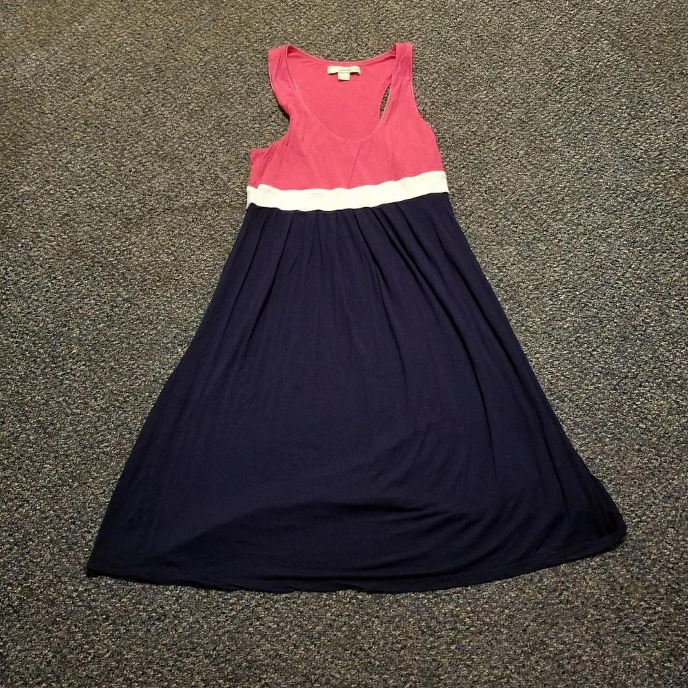 Causal Blue & Pink Dress