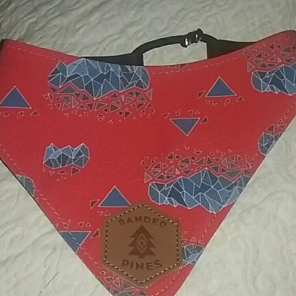 NWOT bandana dog collar