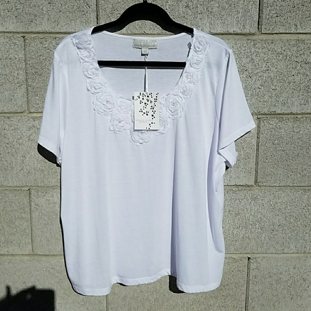 NWT with lace neckline from Carolyn Taylor 2X