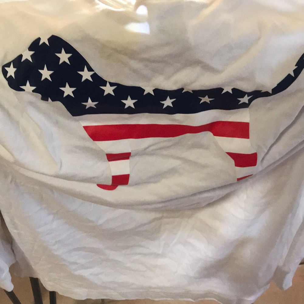 Pink American Flag Longsleeve