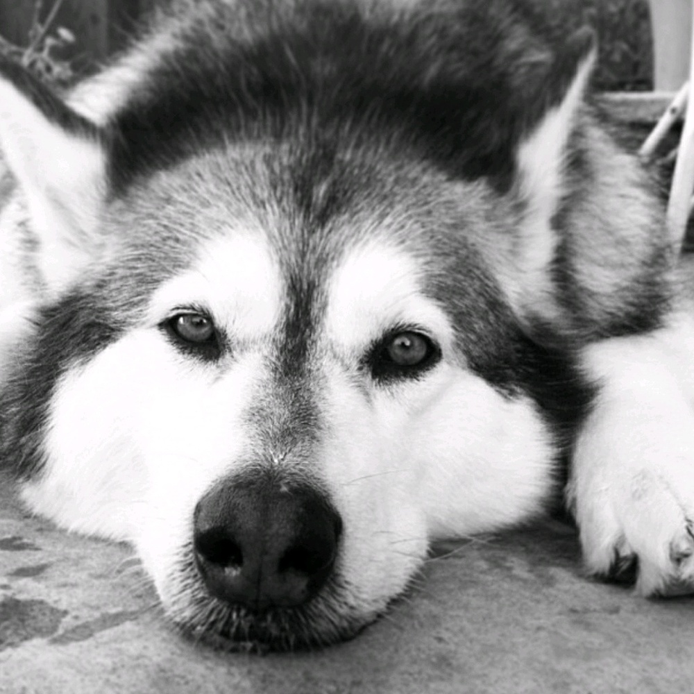 Meet your Posher, Cecelia