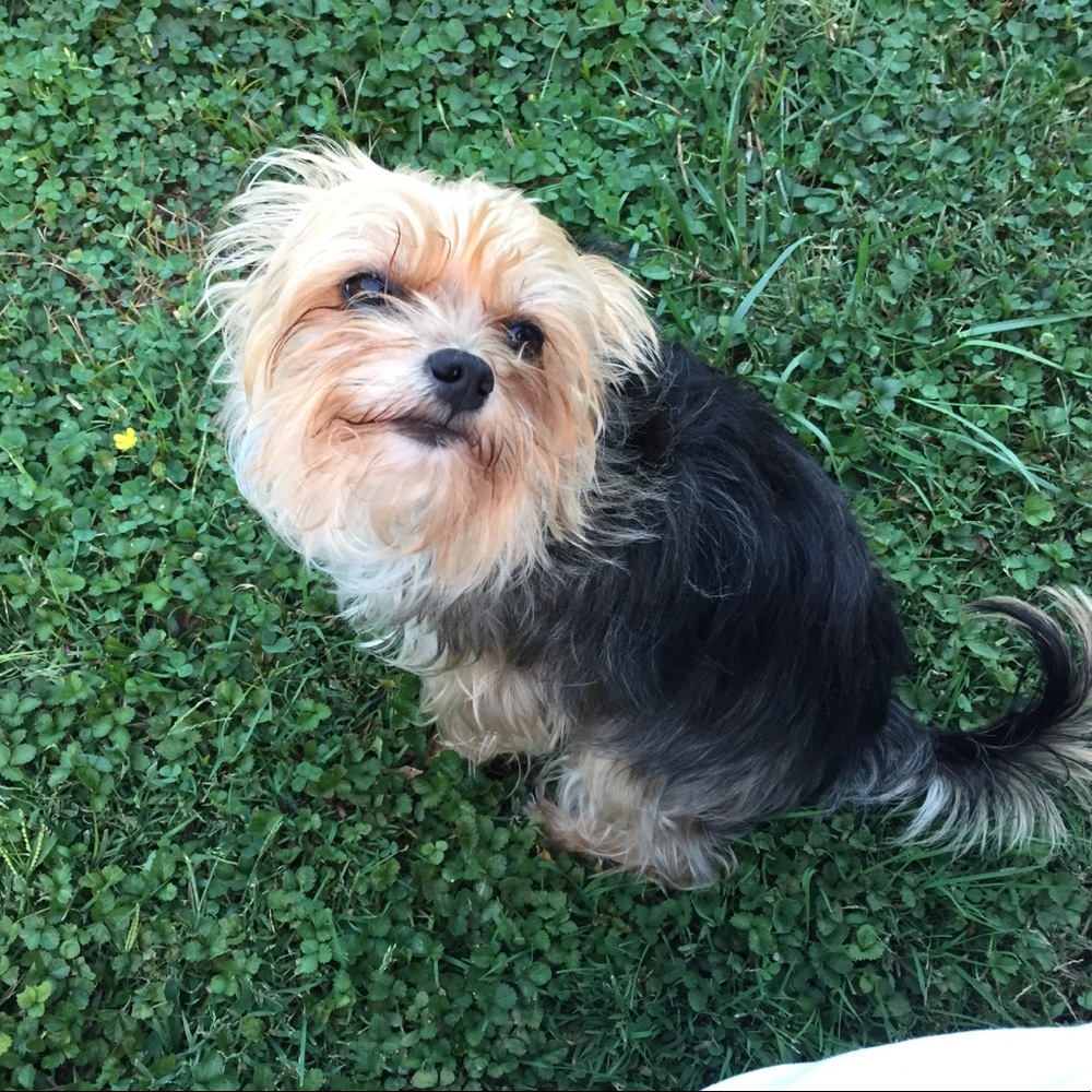 Meet your Posher, Eric