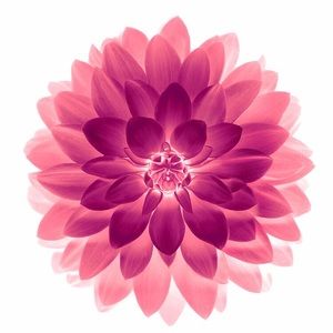 Meet your Posher, Jana