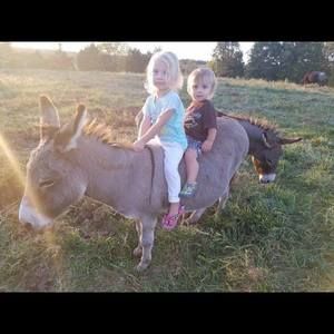 Meet your Posher, Kristie