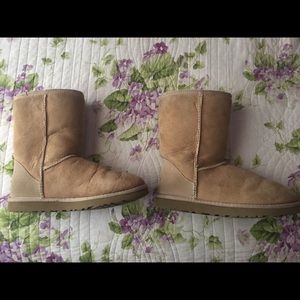 UGG BOOTS Classic Short in Tan