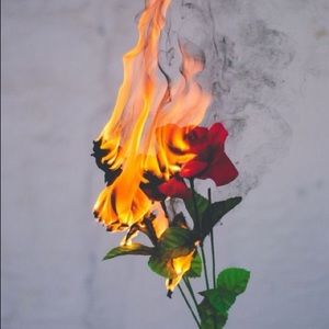 Meet your Posher, Fatima