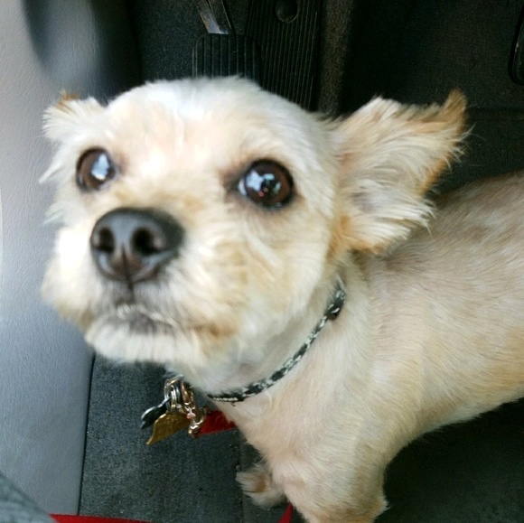 Meet your Posher, Shawna - Picture 1 of 1