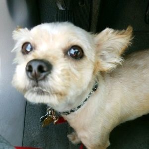 Meet your Posher, Shawna