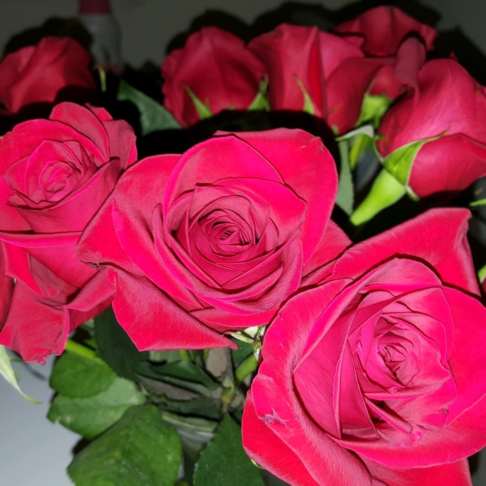 Meet your Posher, Pamela