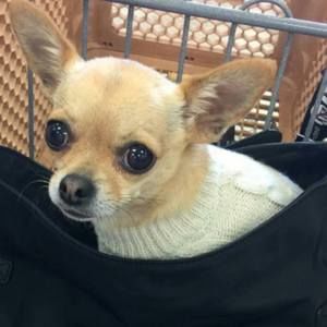 Meet your Posher, Olive