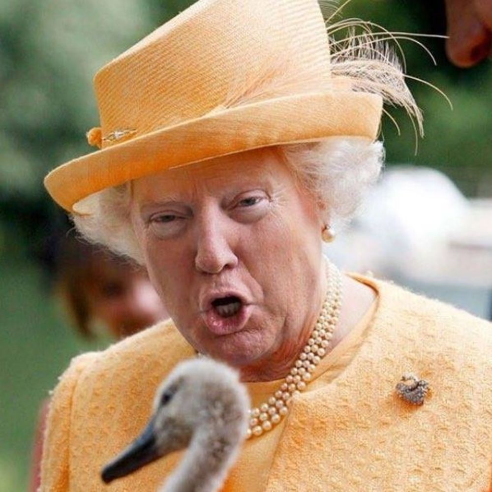 Meet your Posher, Petr