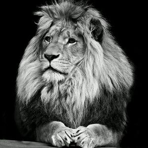 Meet your Posher, Jaywonn