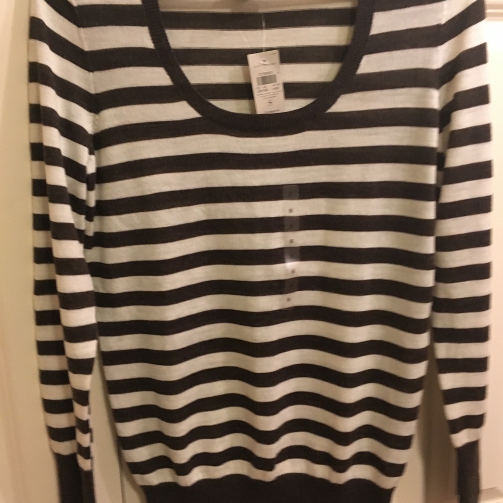 Ann Taylor lightweight sweater! 🍁🌾