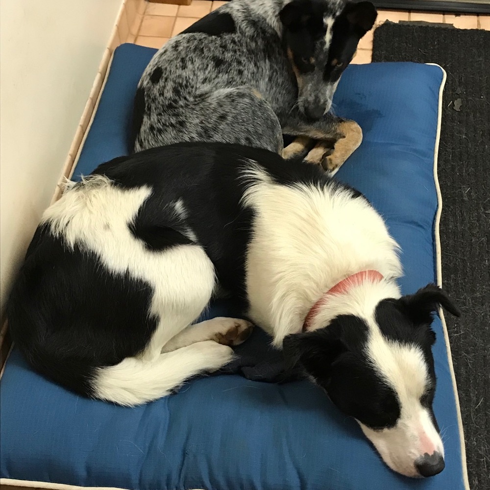 Meet your Posher, Caitlin