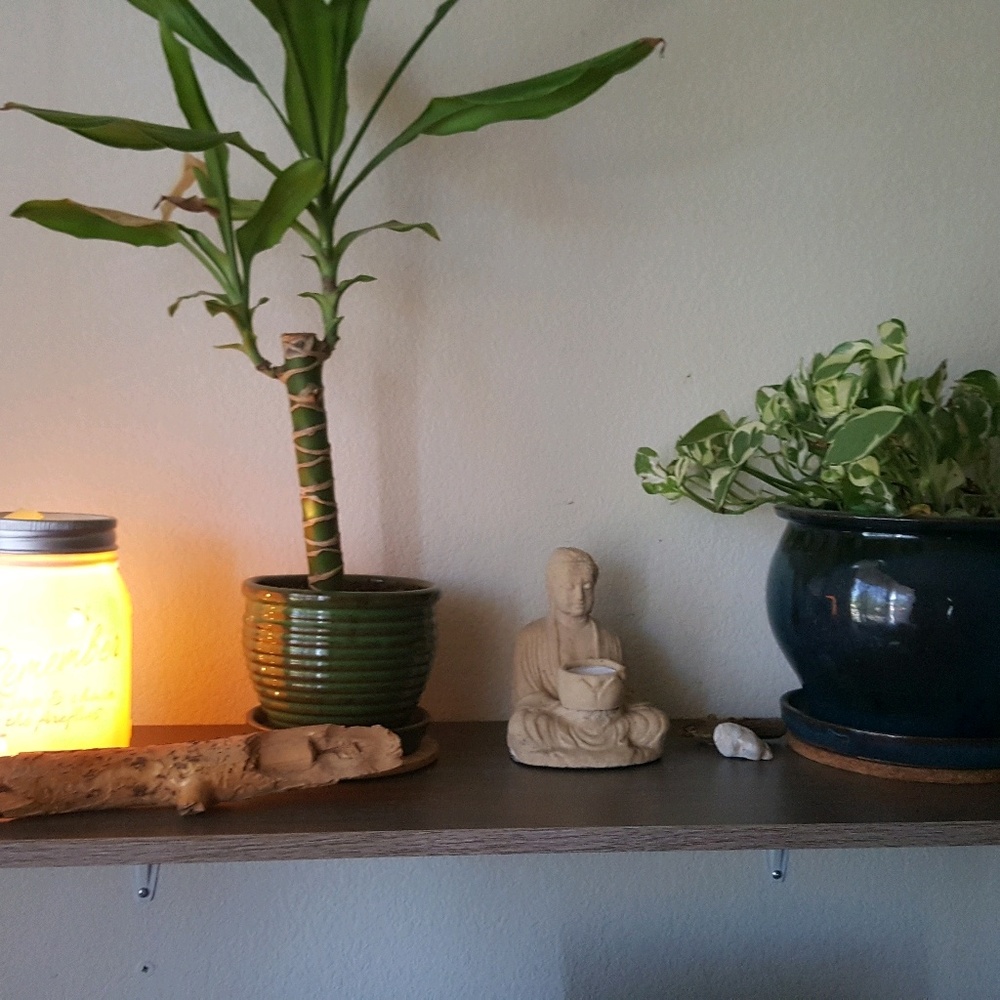 Meet your Posher, Mari