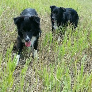 Meet your Posher, Kaycee