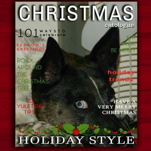 Meet your Posher, Violet