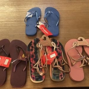 Assorted havaianas sandals.