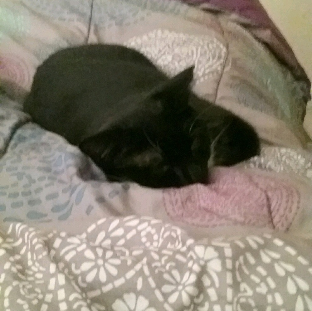 Meet your Posher, Bell