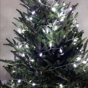 Meet your Posher, Lupita