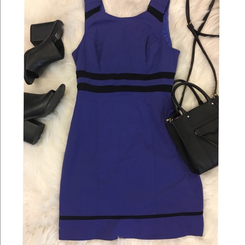 Walter Baker Blue Dress Mesh Detail