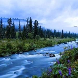 Meet your Posher, Denis