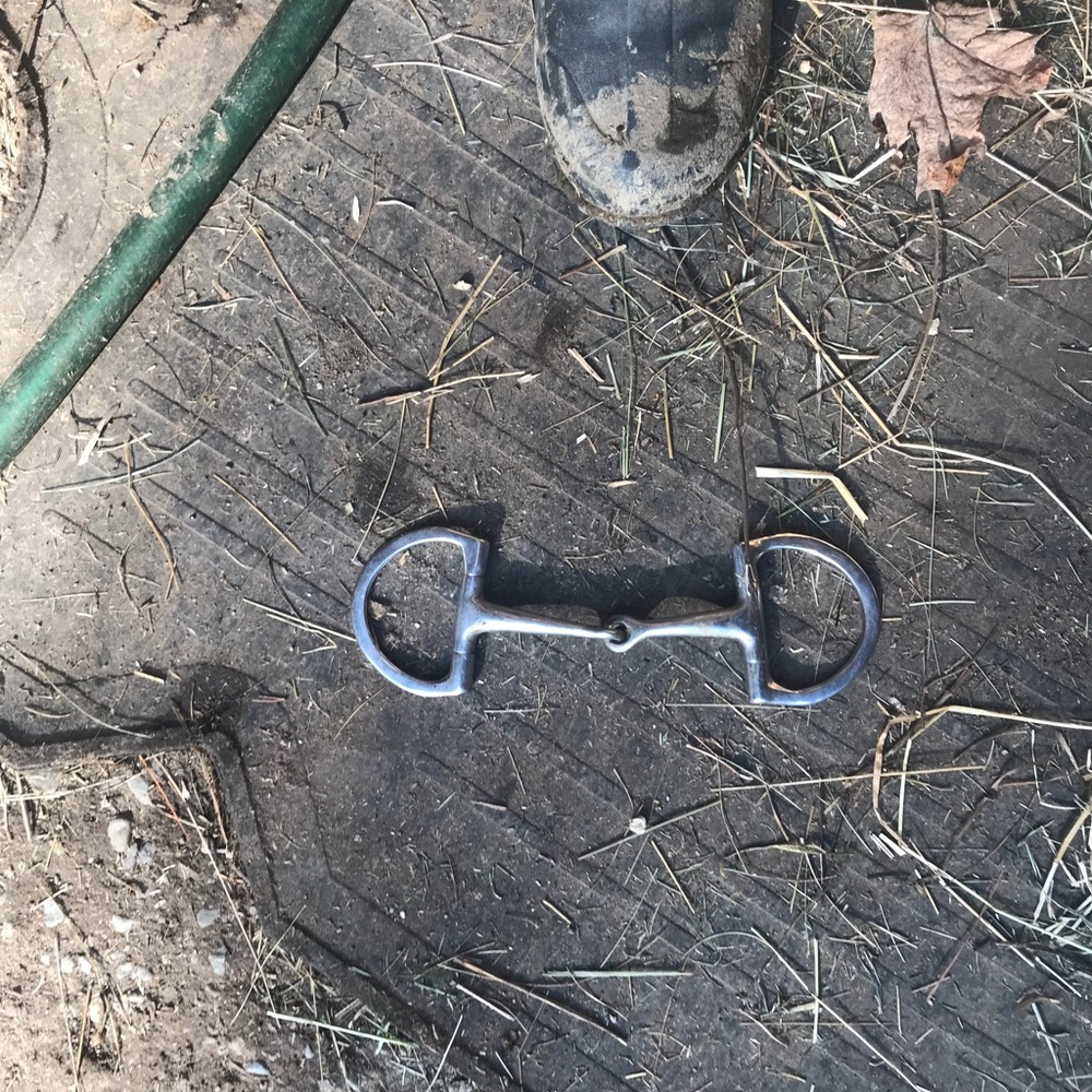 D-ring Snaffle