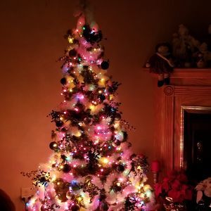 Meet your Posher, Pam