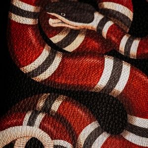 Meet your Posher, Adrian