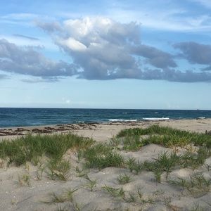 Meet your Posher, Dillon