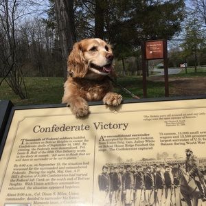 Meet your Posher, William